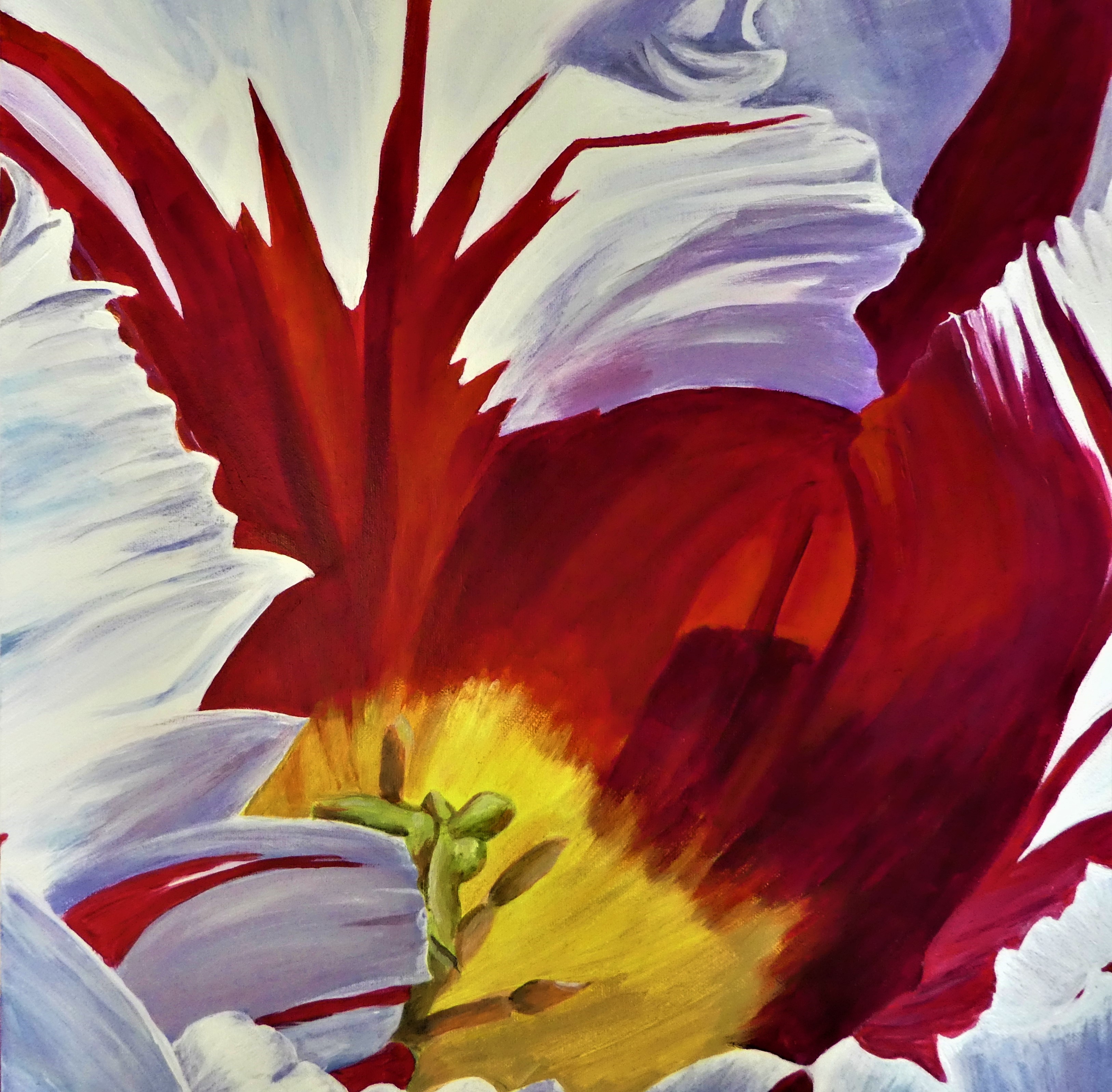 Red and White Tulip by Audrey Bowlin