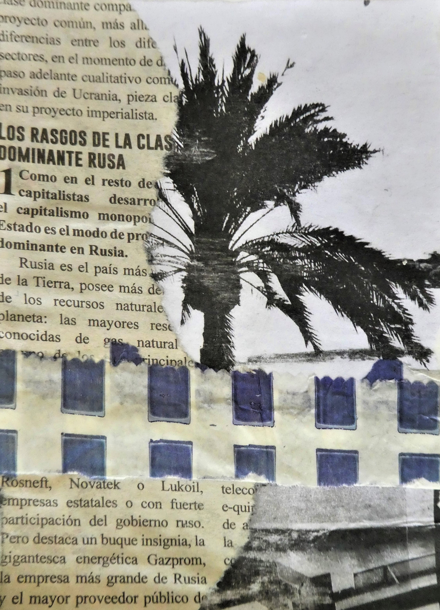 collage of torn spanish text partially obscuring a palm tree with some blue and white stripes/squares torn from a paper bag.