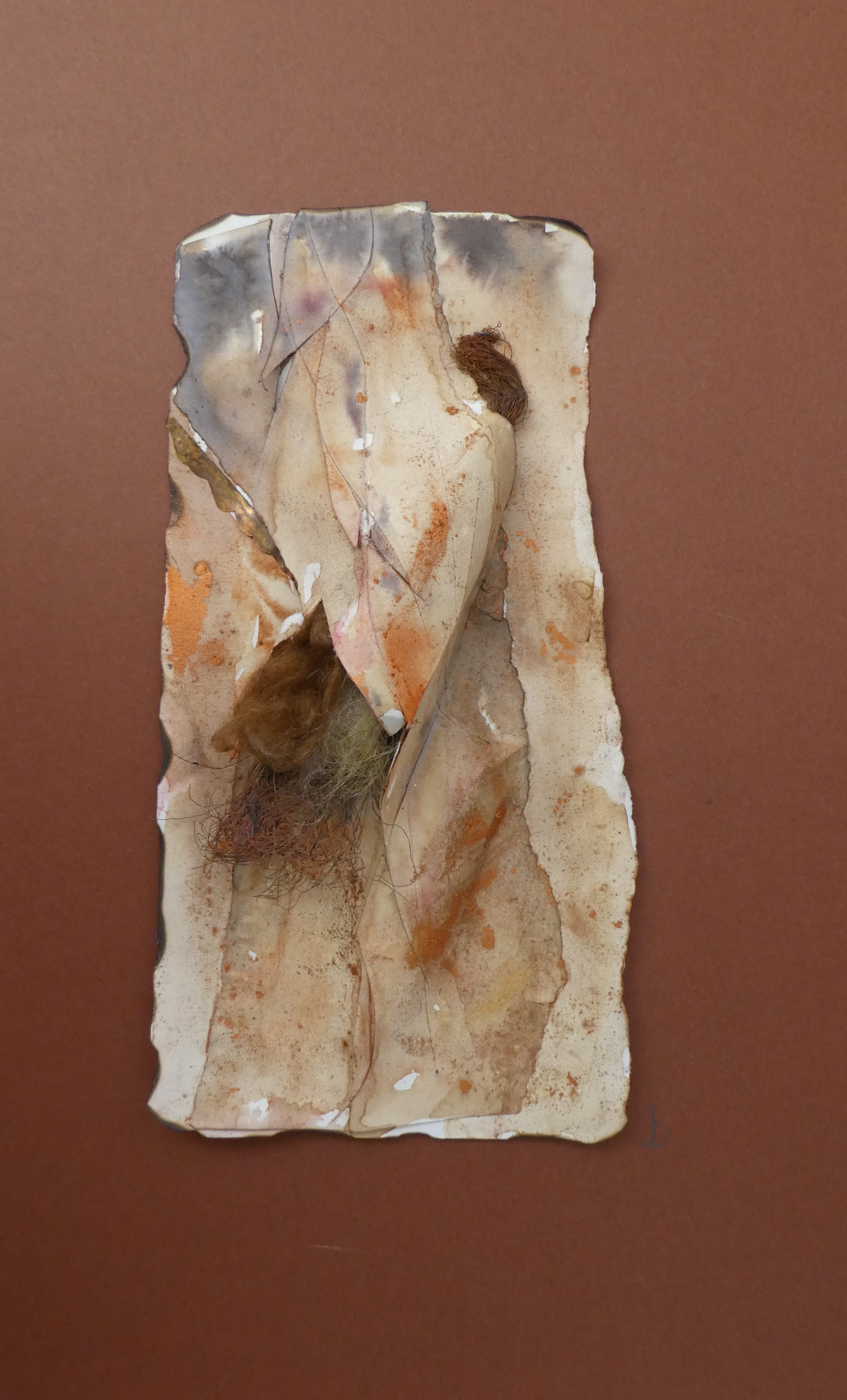 Copper Fleece Emergin