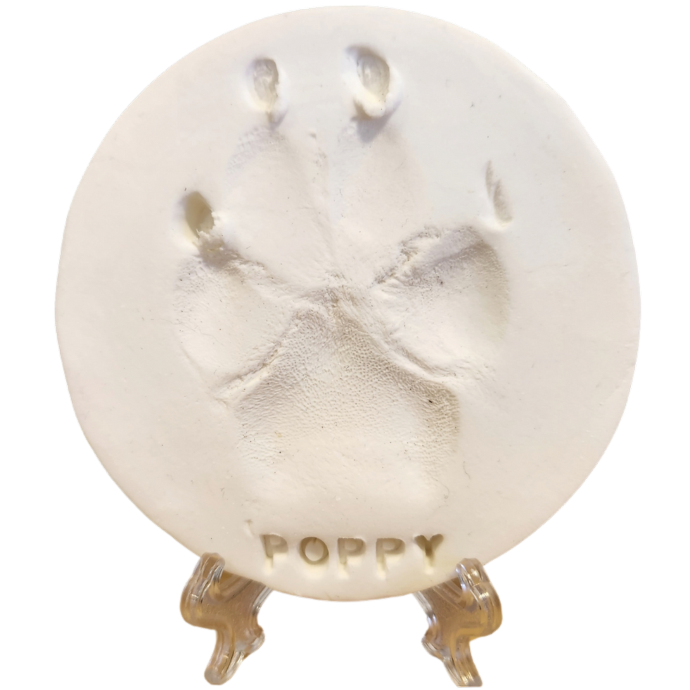 Clay Paw Print
