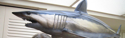 Commissioned Mako shark sculpture by Manny Puig