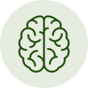 brain
