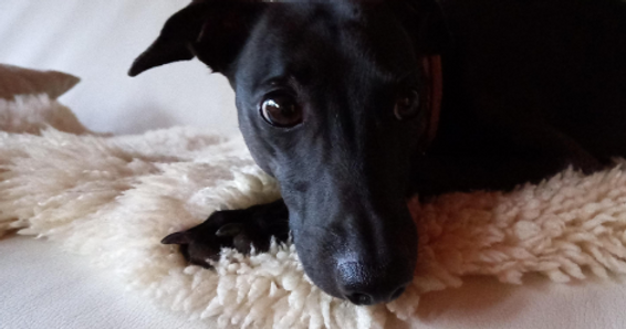 Screen Shot 2022-06-27 at 22.44.30.png