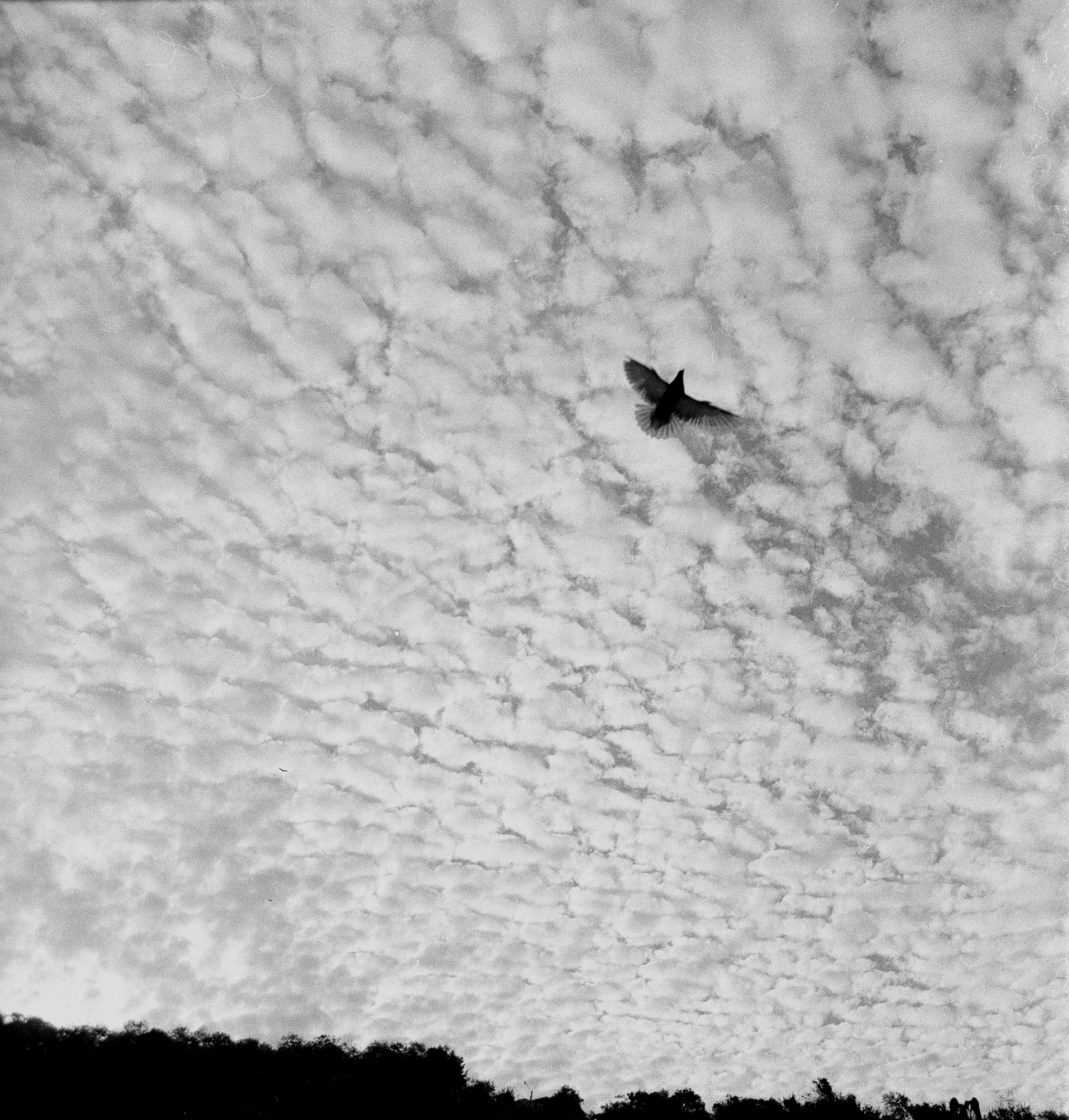 print #02: sob o céu_Pedro Freitas