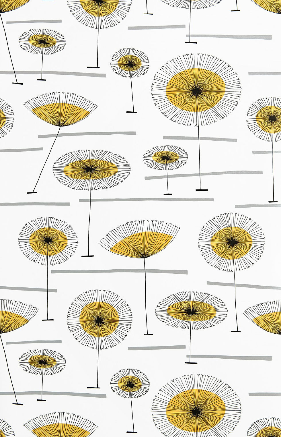 L_MISP1366_GRASSLANDS_Bon_Bon