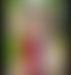 Fórum TT RJ recebe homenagem da FONATRANS, é um reconhecimento das raízes do movimento trans brasileiro.