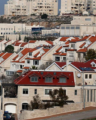 efrat.jpg