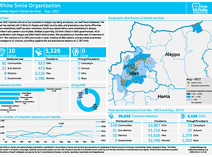 08 White Smile Organization monthly repo