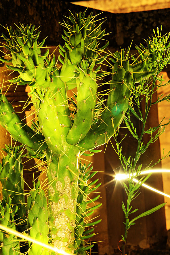 Light Painting Photo