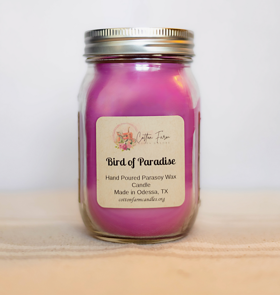 Bird of Paradise Candle