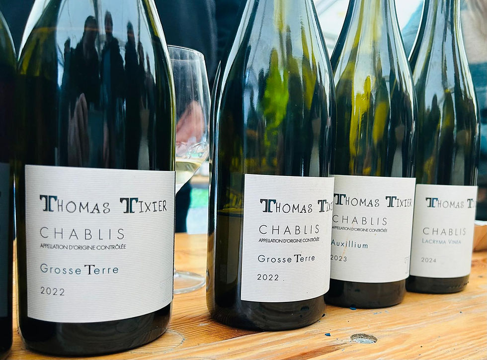 WhatsApp Image 2026-04-15 at 11.31.43 AM (1).jpeg