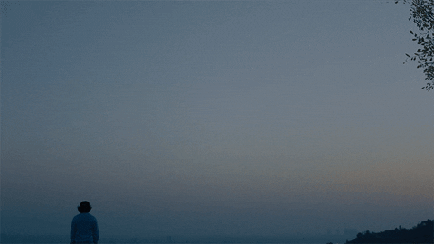giphy (8).gif