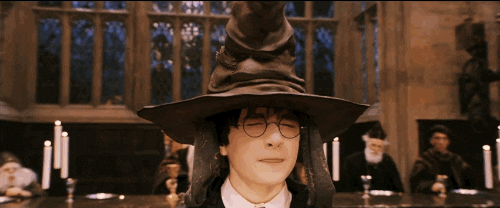 giphy (2).gif