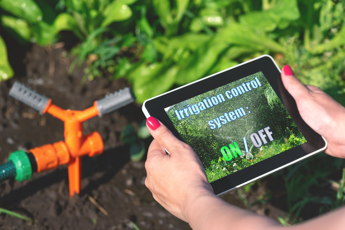 Woman is holding in hand a tablet computer with a program of irrigation control system on