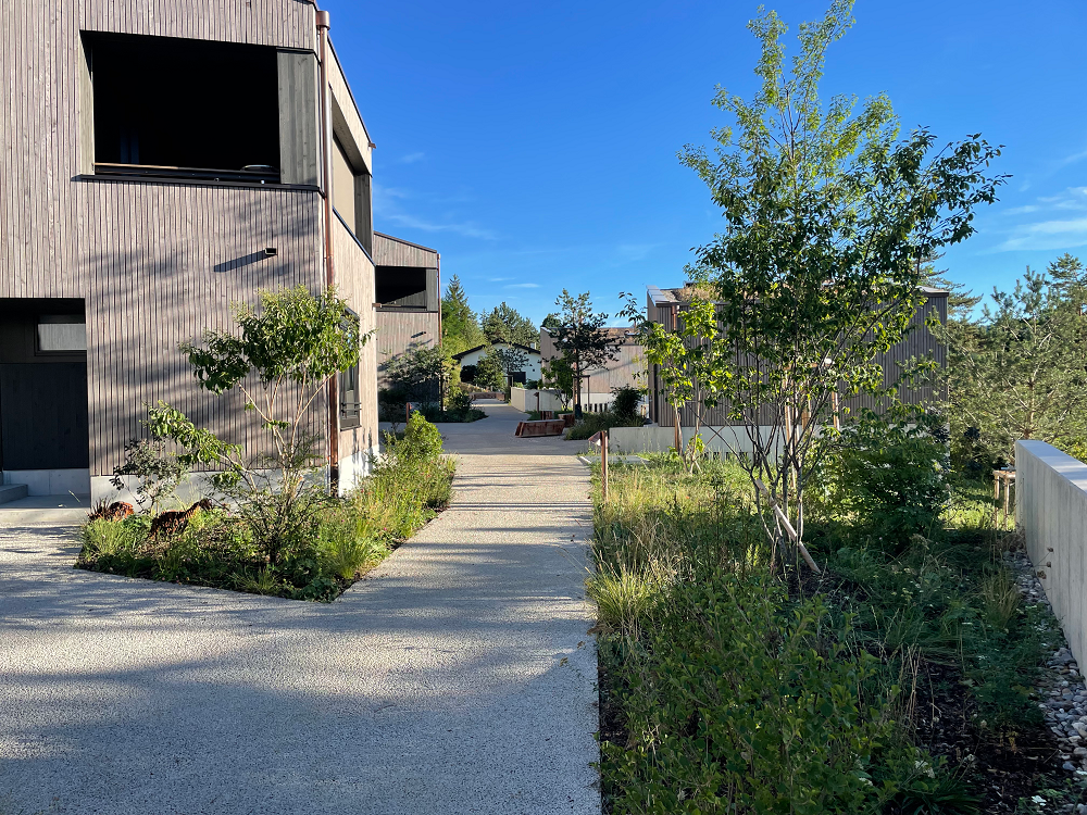 Leben im Park Lebenimpark.ch GipfOberfrick