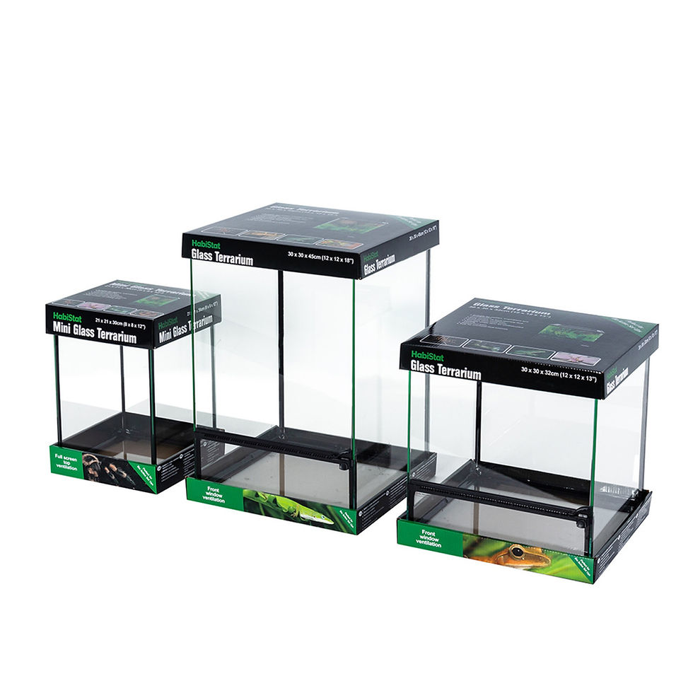 Thumbnail: HabiStat Glass Terrarium