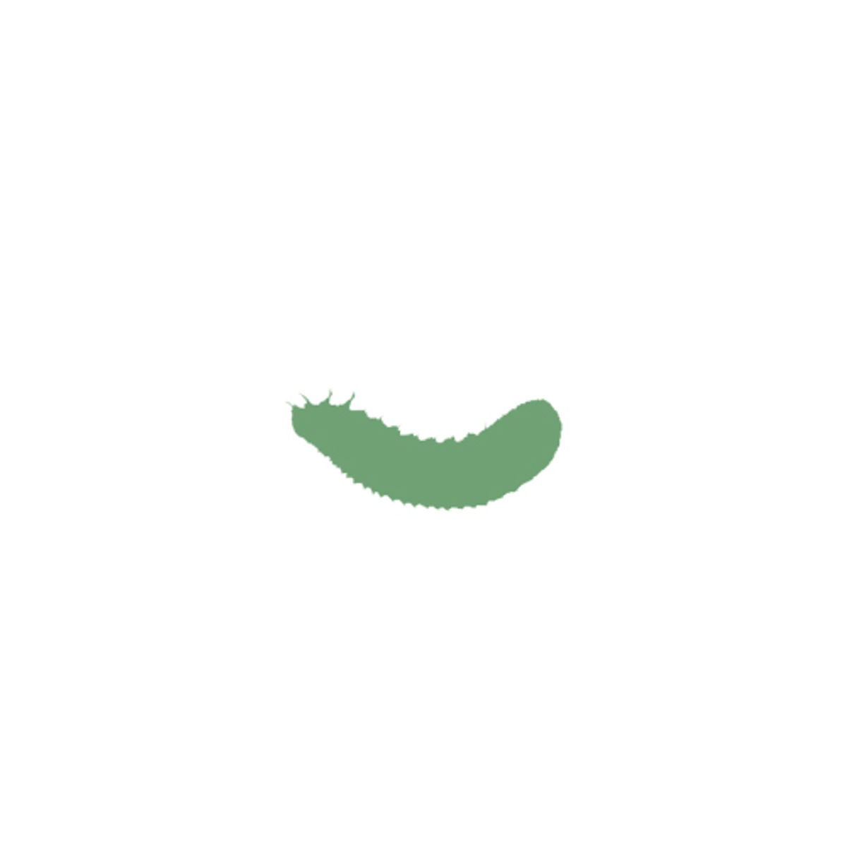 Fruit-Beetle-grub.jpg