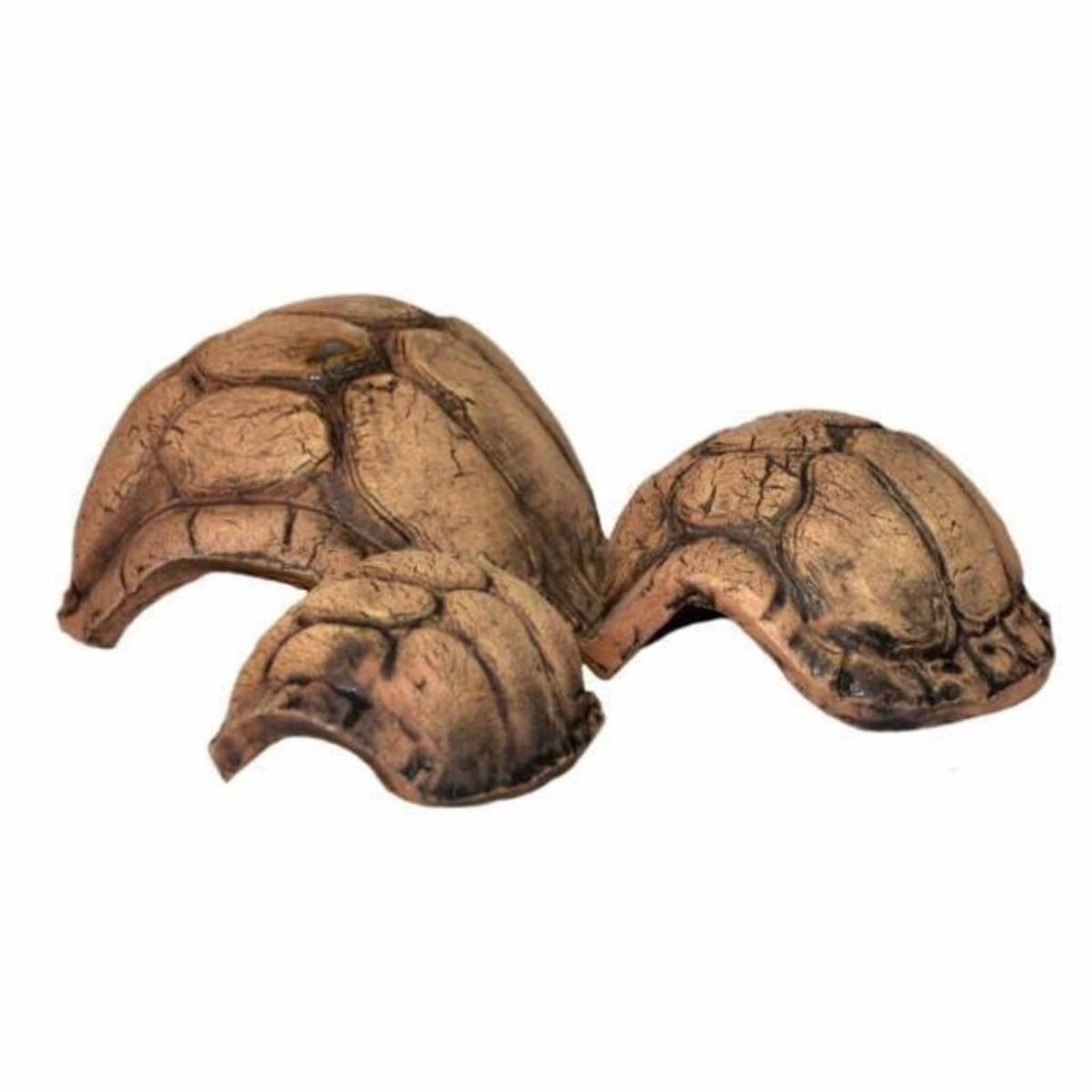 tort hide.jpg