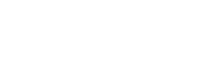 Stratosfear Business Consultancy white logo