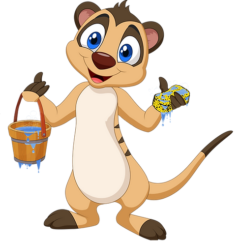 Suricate_.png