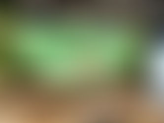 GREEN LAB auf der Fachdental Südwest