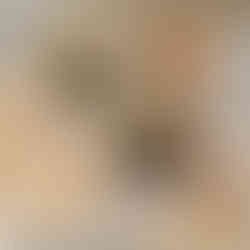 סקראפבוק עם 2 תמונות אינסטקס סקוור וכיתוב