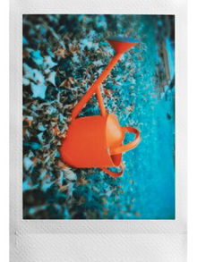 small-mini Evo print 05.jpg