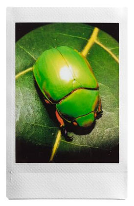 small-mini Evo print 69.jpg