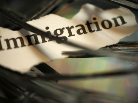 The Immigration and Political Background of the European Union