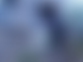 公園清掃 11月2日