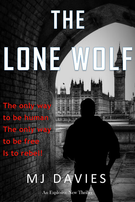 Book Cover.jpg