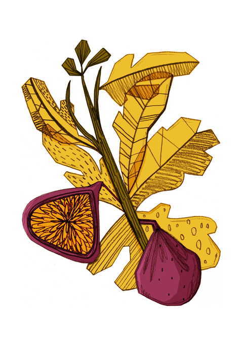 Fig branch