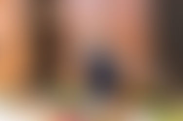 Ostermarkt im Kulturhaus Gratkorn