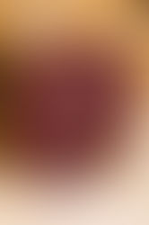 Swinging Dinner begeisterte zum 140-jährigen Jubiläum des Jakob-Wöhrer-Chors