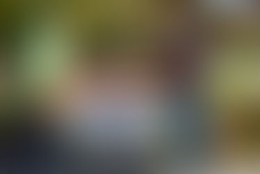 Erdäpfelkiste Friesach – Frische vom Mathesbauer!