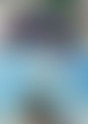 PVÖ-Jahresrückblick