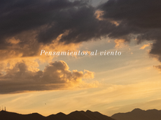 Pensamientos y poemas sobre experiencias, emociones y realidades personales