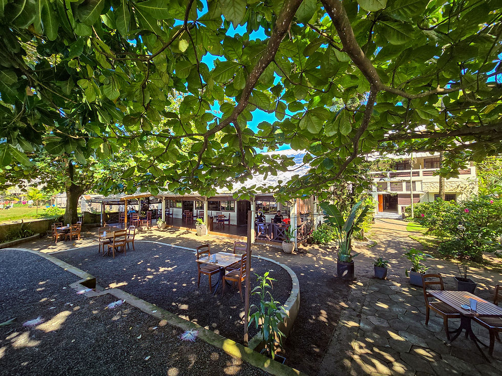 20250531_104922 (3).jpg