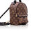 Thumbnail: LV Palm Springs Backpack Mini&Small&Medium