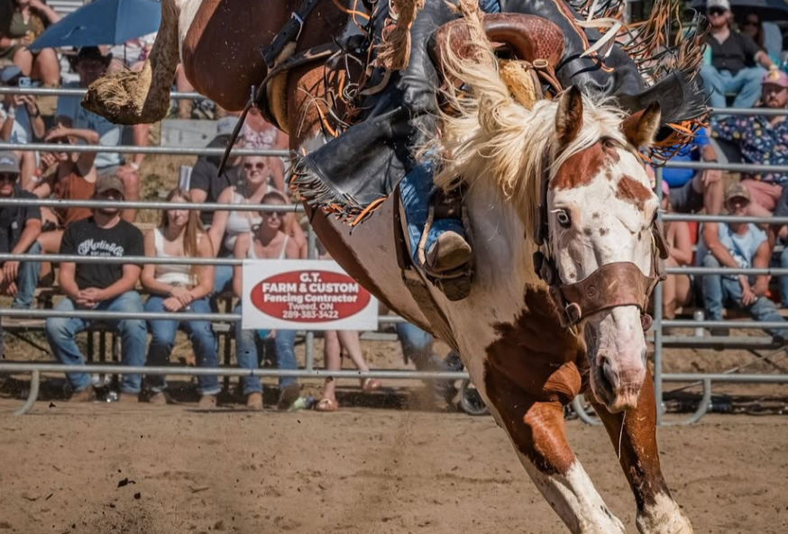 It's still Rodeo Season!