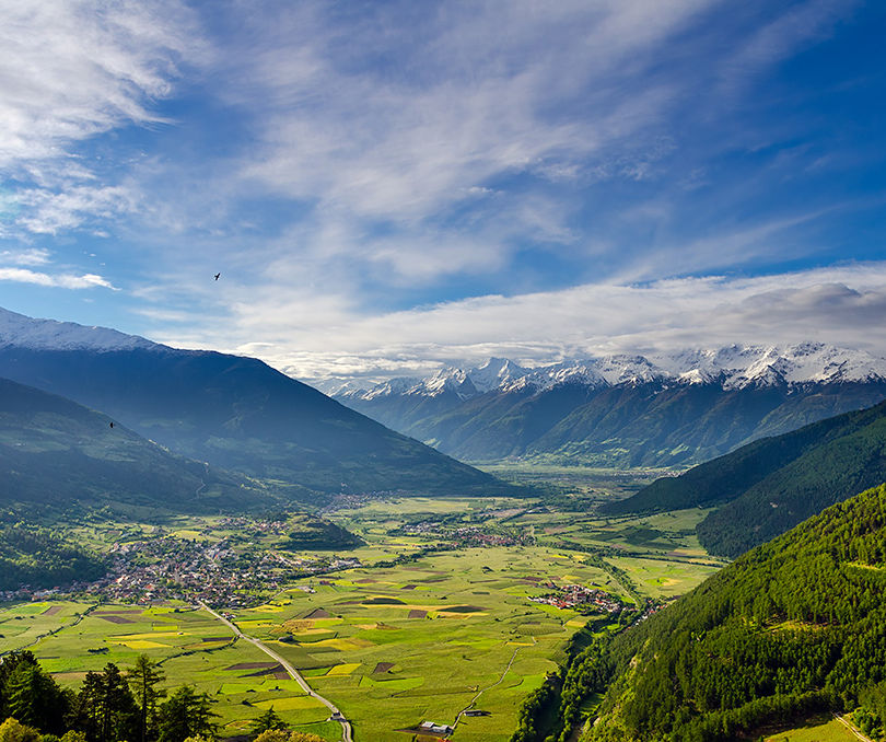 vinschgau.jpeg