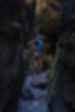 DSCF1868_edited.jpg