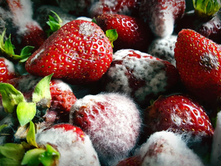 I got a speeding ticket...