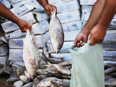 Vendedores de Natal relatam baixa procura por pescados antes da Semana Santa