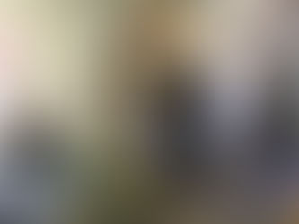 Art in the Park 2017