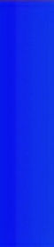 blue line_edited_edited.jpg
