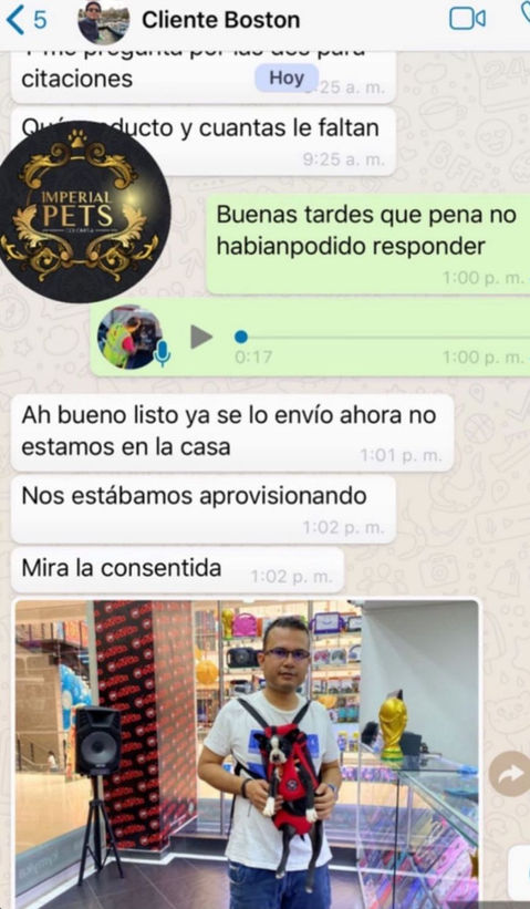 perros de raza - Criadero Imperial Pets