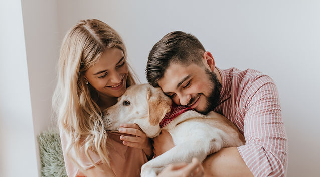 Venta de cachorros - Criadero de Perros Imperial Pets