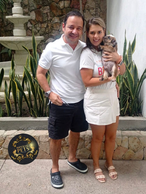 perros de raza - Criadero Imperial Pets