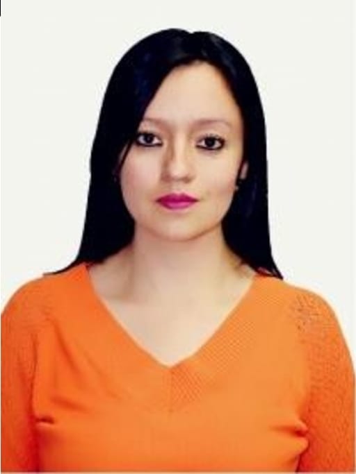 Lisseth Forero Suárez Exp contable, financiera y tributaria, elaboración y análisis de est